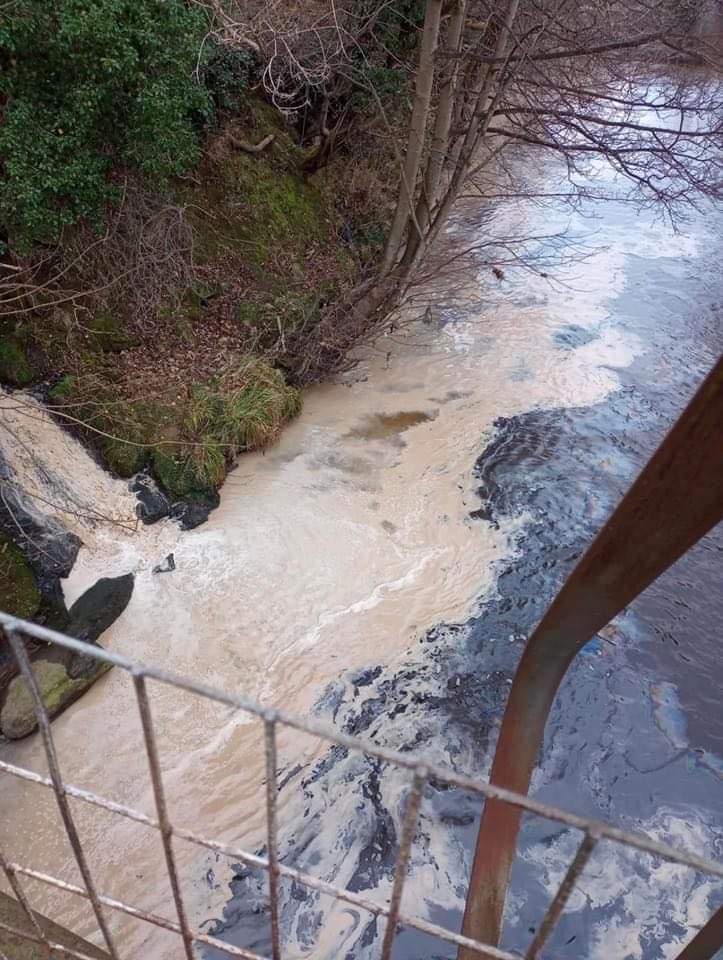 Pollution entering the River Esk.