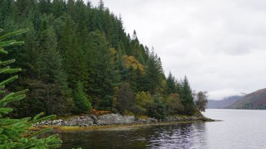 Plans submitted for innovative new salmon farm at Loch Long