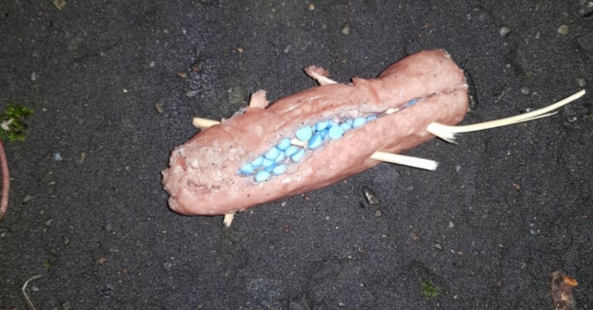 Dog walkers warned after sausage stuffed with ‘poison’ found on path