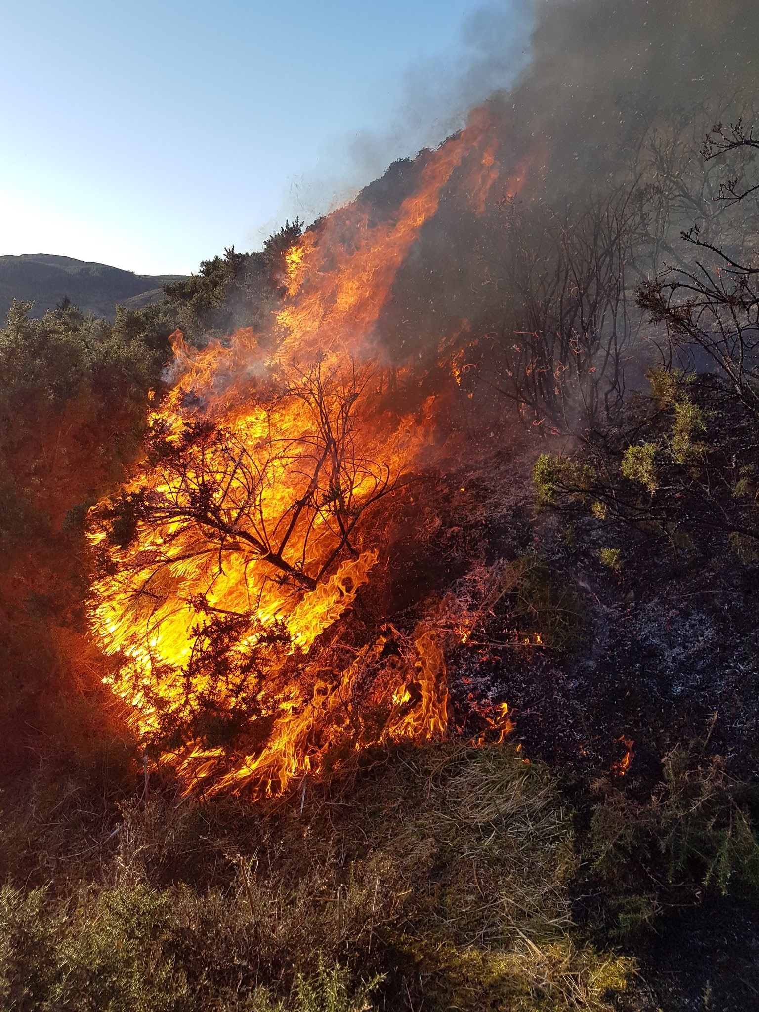 A statement said firefighters took more than five hours to bring the blaze under control over a one-and-a-half-mile long front.