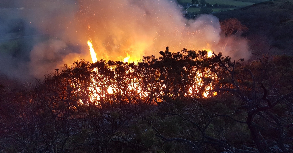 The fire front stretched across 1.5miles.