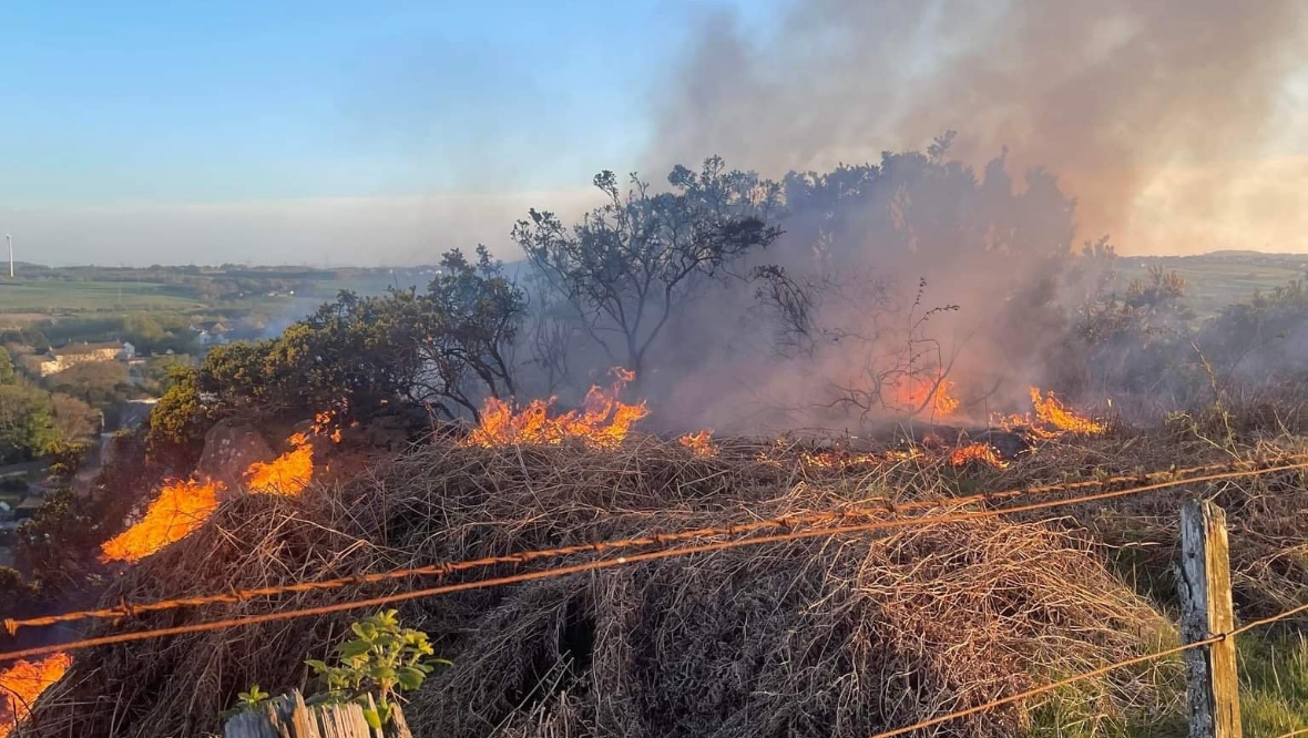 Smoke billows from farm as firefighters tackle wildfire blaze