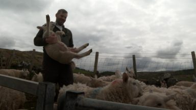 Farmers feeling pressure with material costs spiralling by more than 300%