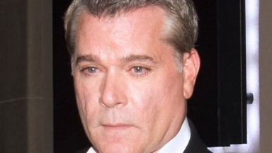 Ray Liotta was the most beautiful person, his fiancee says