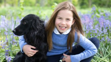 Picture released of Princess Charlotte and pet dog Orla to mark seventh birthday