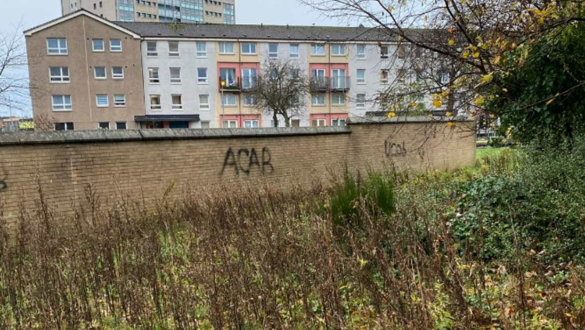 How the land used to look before the clear-up.