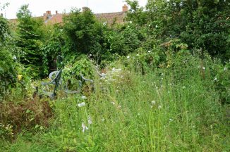 Renfrewshire Council leader won’t choose ‘hedge clippings over jobs’ amid £40 garden waste permit row