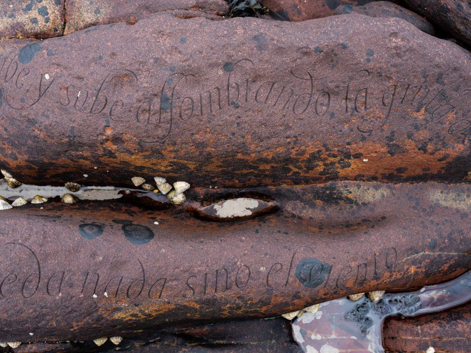 Dozens of carvings found at Scottish ‘marine shrine’ to Nobel prize-winning Chilean poet Pablo Neruda