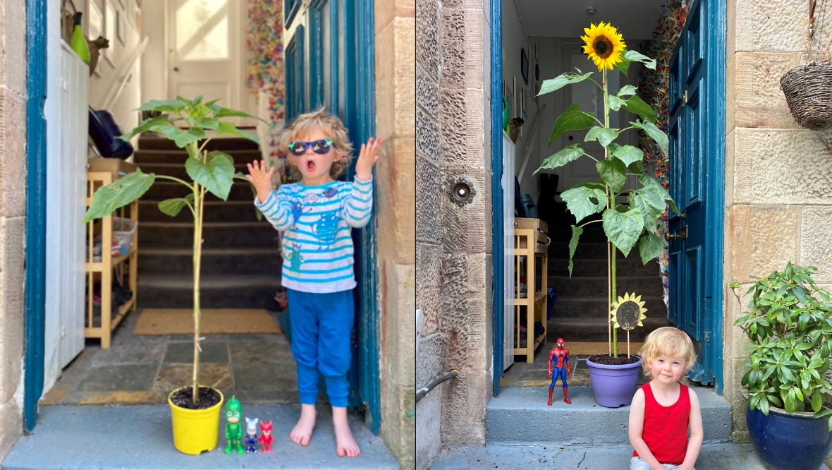 Hamish's project struck a chord around the world.