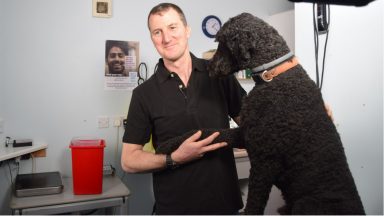 NHS Lanarkshire partner with local vet surgeries to highlight second-hand smoke effects on family pets