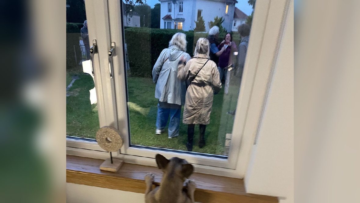 Woman finds eight Americans in her garden ‘waving through window’