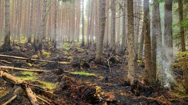 Blaze at Queen’s Balmoral estate in Aberdeenshire caused by ‘abandoned camp fire’