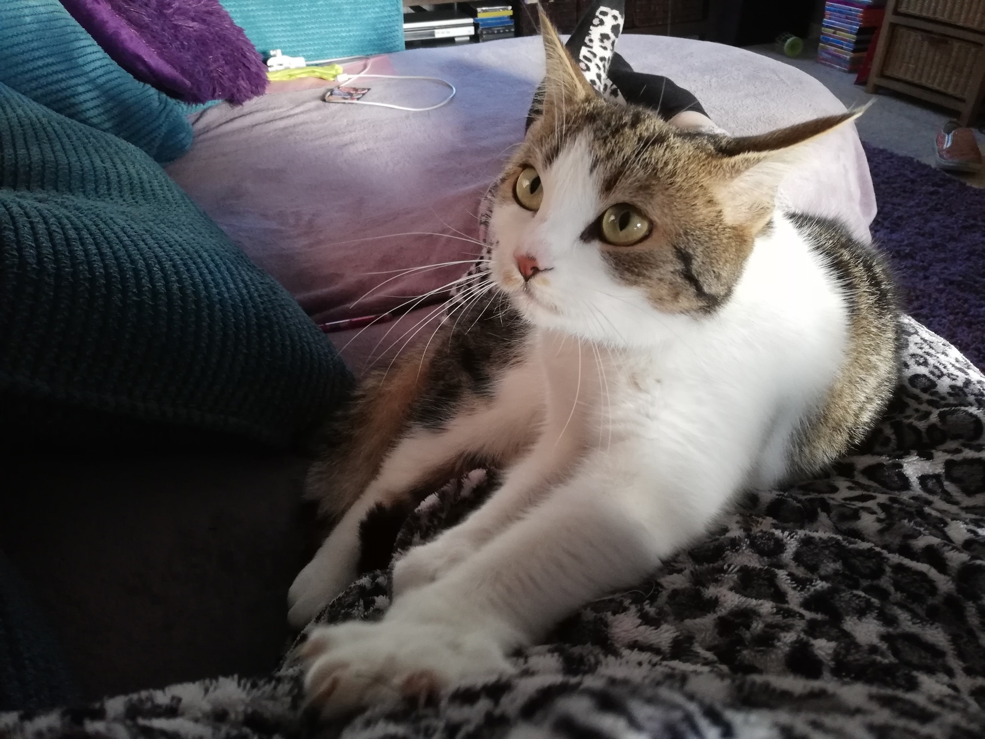 Rainbow was five years old.