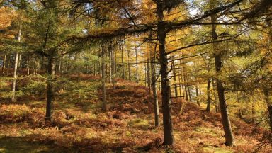 Sean Batty weather insight: Autumn set to arrive early in August as heavy rain and strong winds forecast