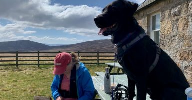 Rescue dog from Northern Ireland given ‘idyllic’ new home in Scottish Highlands thanks to Dogs Trust