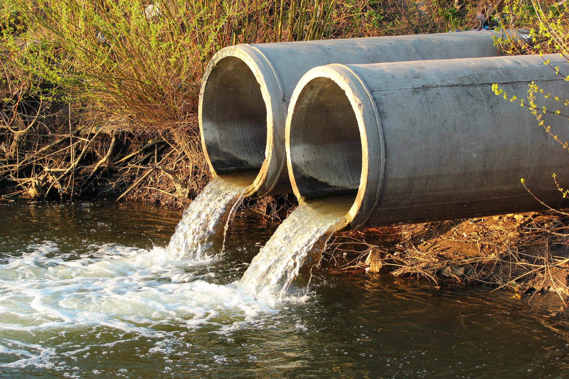 The Lothians area had the highest rate of sewage-related items on its beaches.