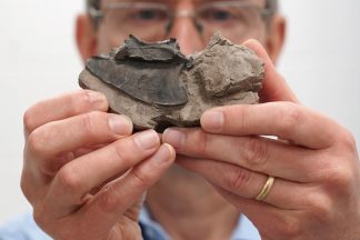 Bird fossil collection dating back over 50 million years given to National Museum Scotland in Edinburgh