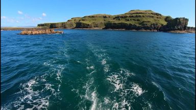 Bird flu: Calls for urgent action to deal with ‘national emergency’ amid Treshnish Isles tourist ban