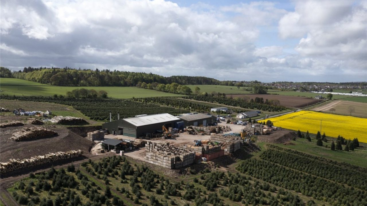 Thriving Angus family-owned Christmas tree farm goes on sale for staggering £7m