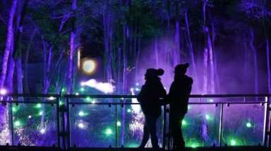 Enchanted Forest returns to offer ‘magical experience’ after two-year hiatus