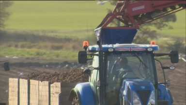 Potatoes could no longer grow in Scotland due to climate change