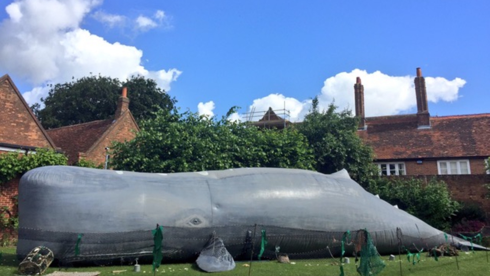'The Tale of Whale' at Northern Stories Festival