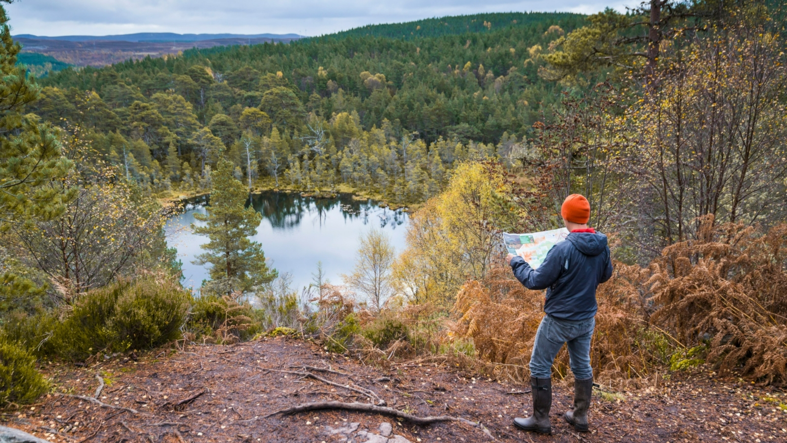 Glen Affric in the Scottish Highlands.