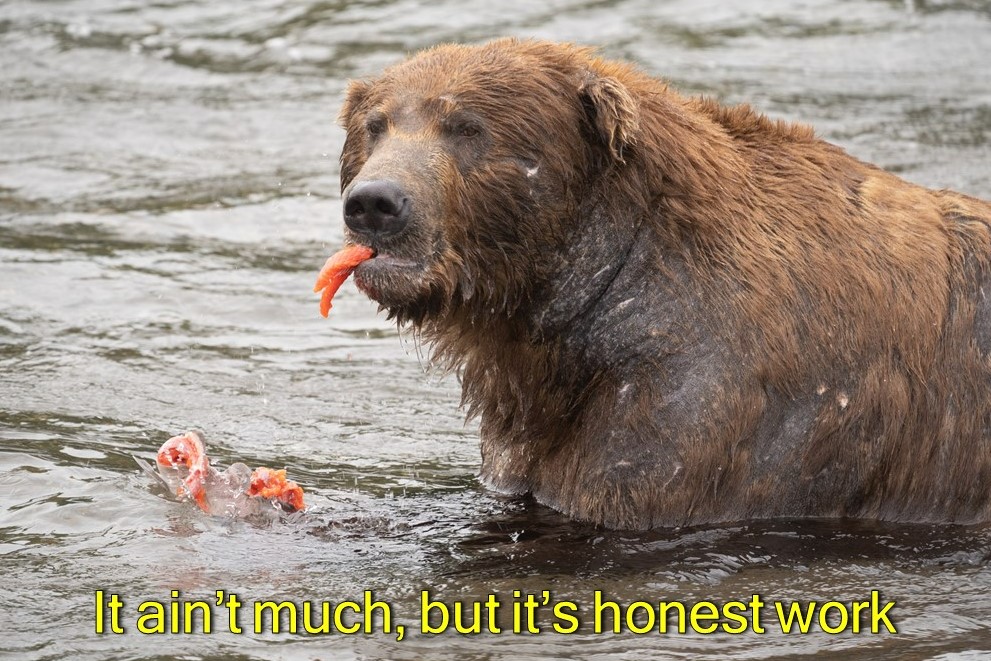 Organisers kept hype around the contest going by posting humorous images on social media.