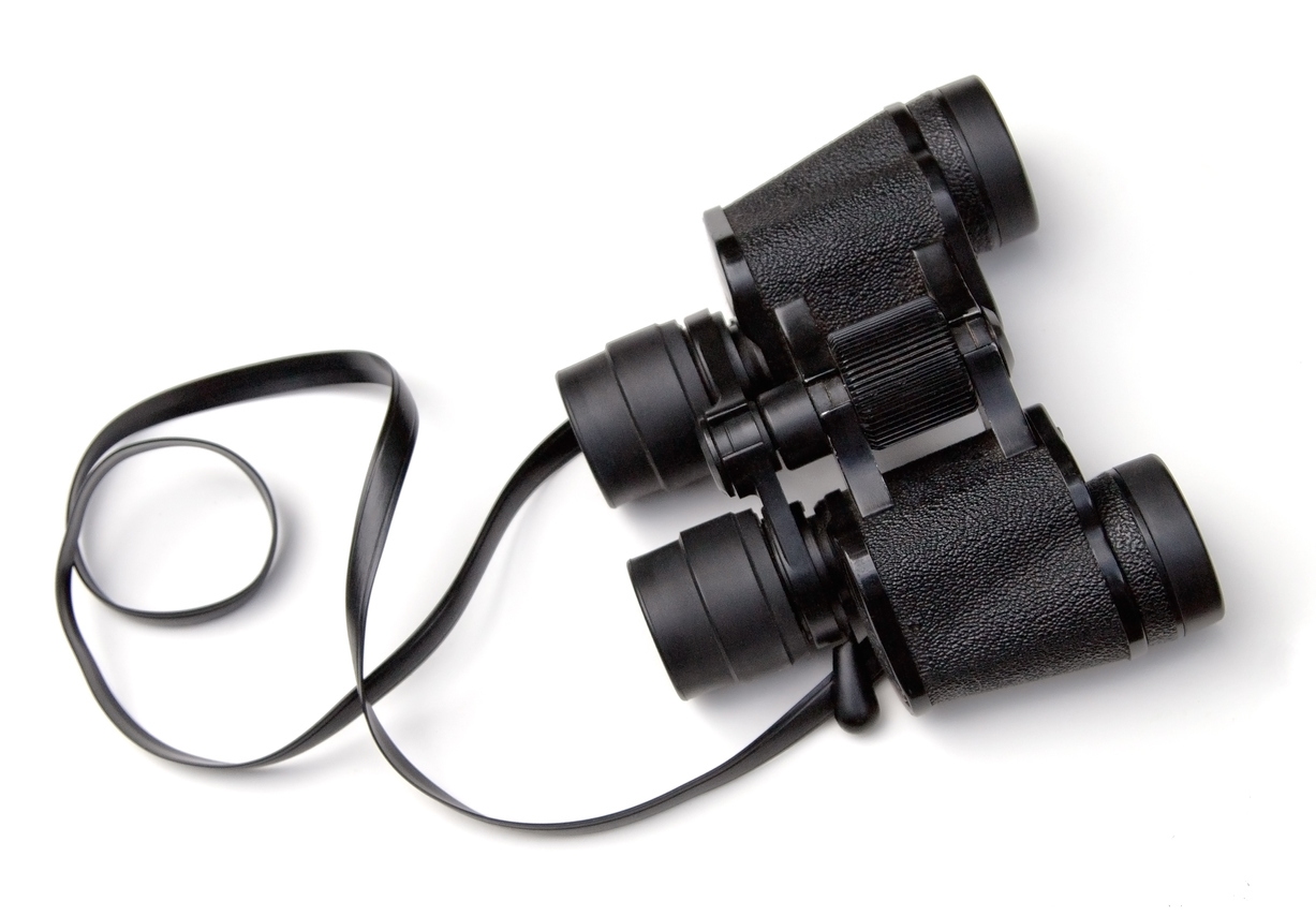 Make sure that no one accidentally looks into the eyepiece of the instrument.