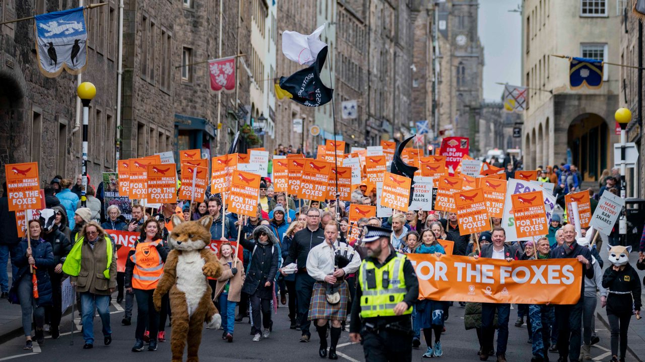 Hundreds attend march in Edinburgh in support of strengthening fox hunting laws