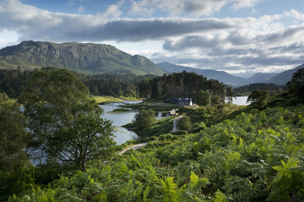 Glen Affric