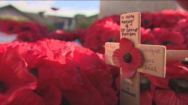 Two minutes silence held to mark Armistice Day