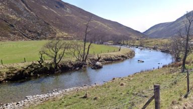 Woman assaulted by man after refusing to hand over mobile phone while walking dogs near River Almond in Perth