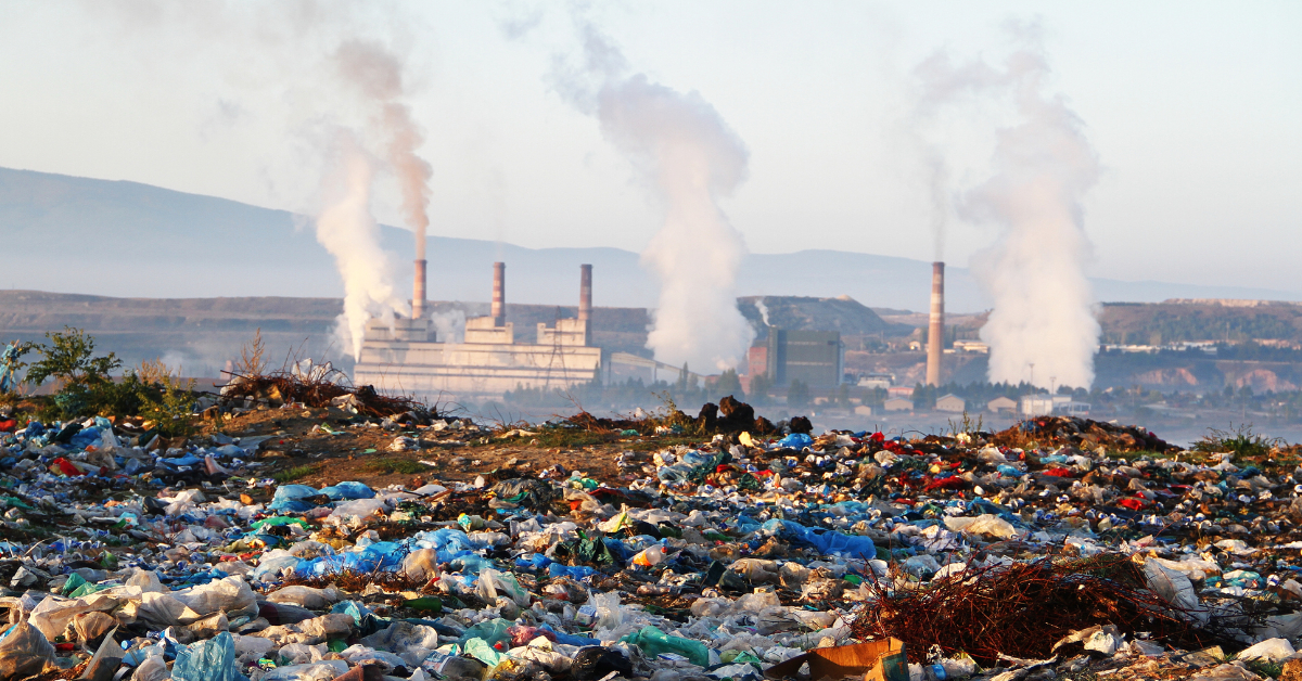 ‘Polluters will be judged by future generations if they fail to act’, say Greens ahead of COP27