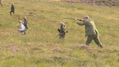 Birds of prey deaths remain at ‘depressing’ levels say RSPB