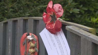 Pupils place poppies at the home of each fallen soldier