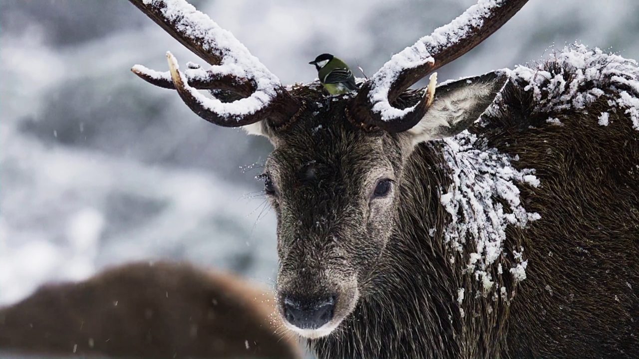 First snow of the season to follow flooding across Scotland