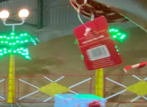 One picture appeared to show the sales tag still attached to a piece of decoration.