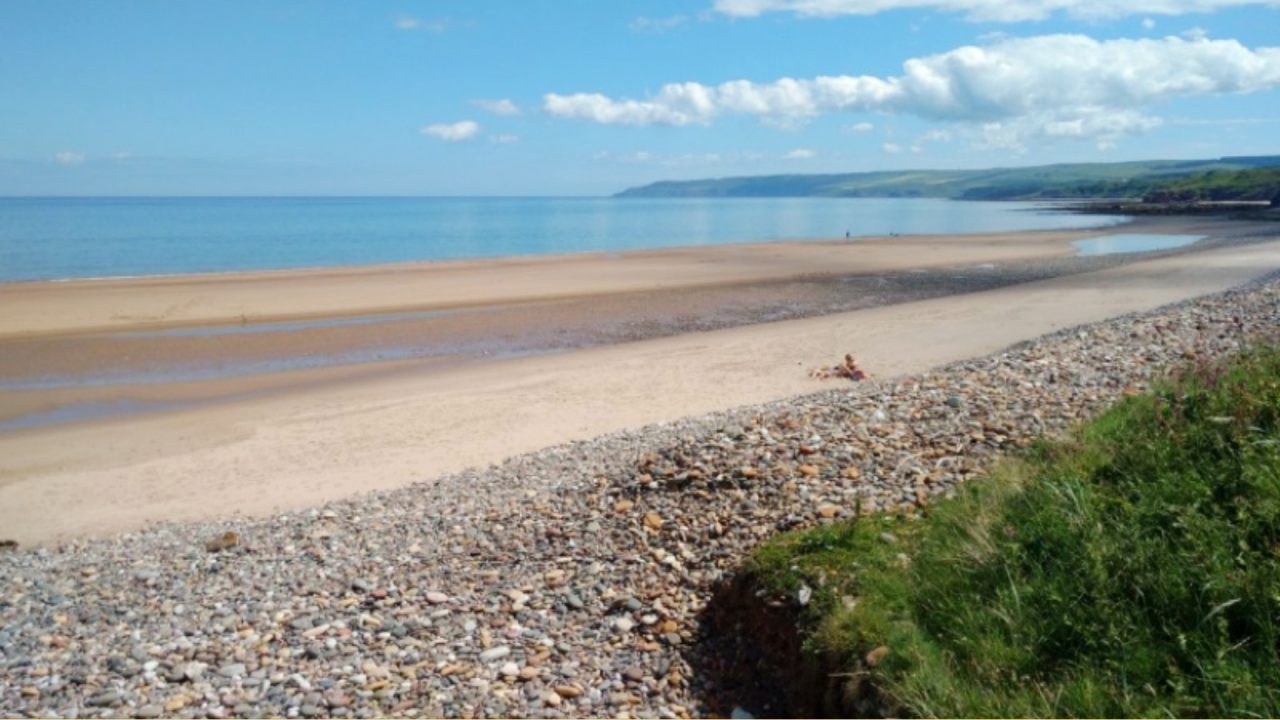 Warning to avoid dead seals after four may have been killed by bird flu at Thorntonloch beach in Dunbar