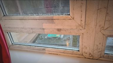 Family fears for childrens lives in mould stricken council home