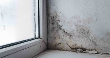 Awaab’s Law to force social housing landlords to tackle mould and damp