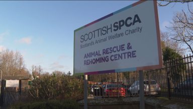 Scottish SPCA expect to face ‘challenging’ 2023