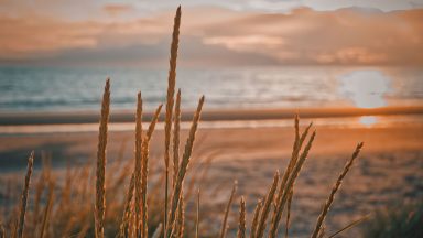 Sean Batty insight: We’ve waited all summer, but autumnal sunshine has arrived in Scotland