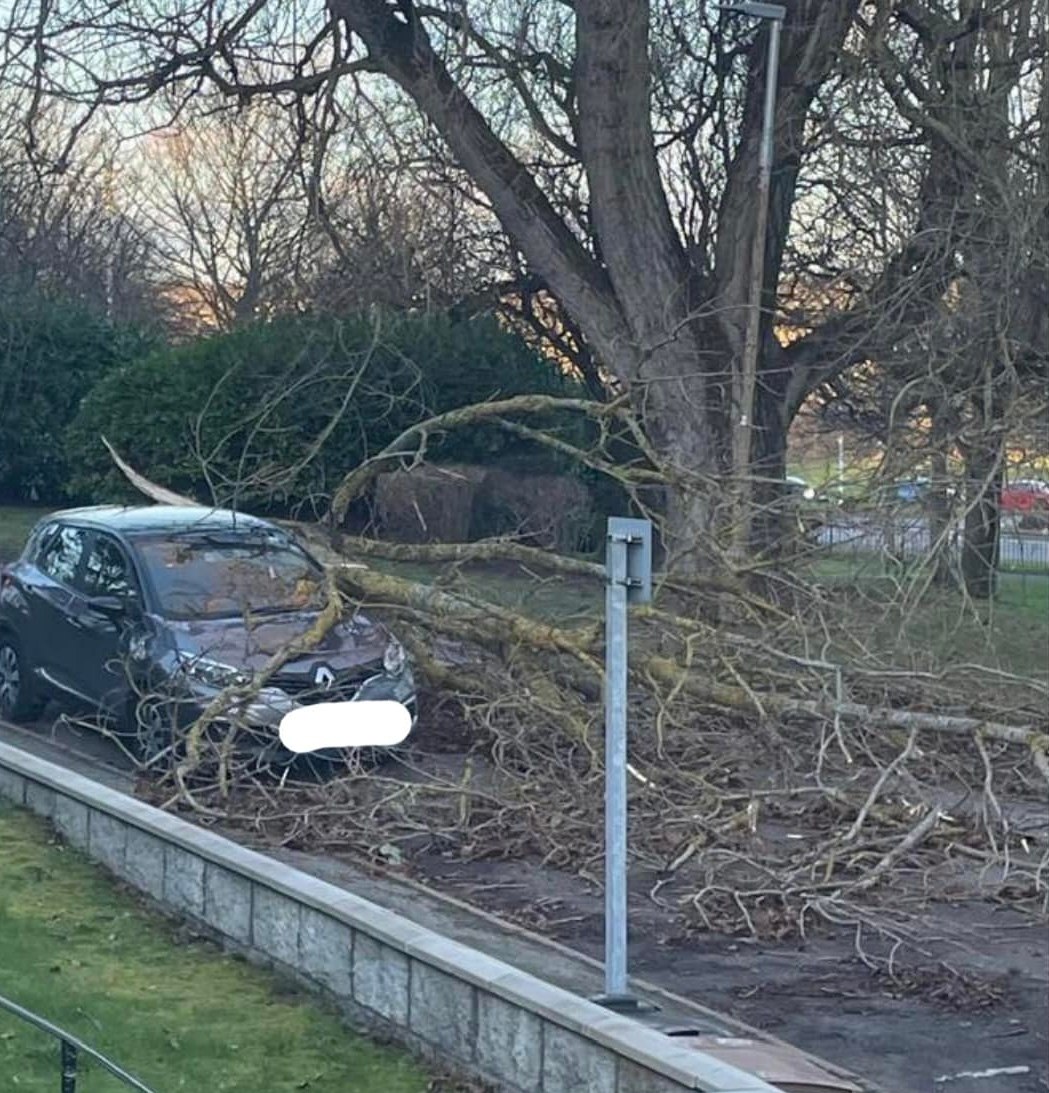 Fallen trees, branches and windblown debris have caused the outages.