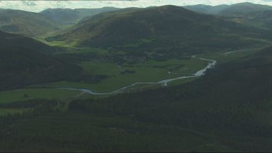 Caledonian forests in decline threatening biodiversity