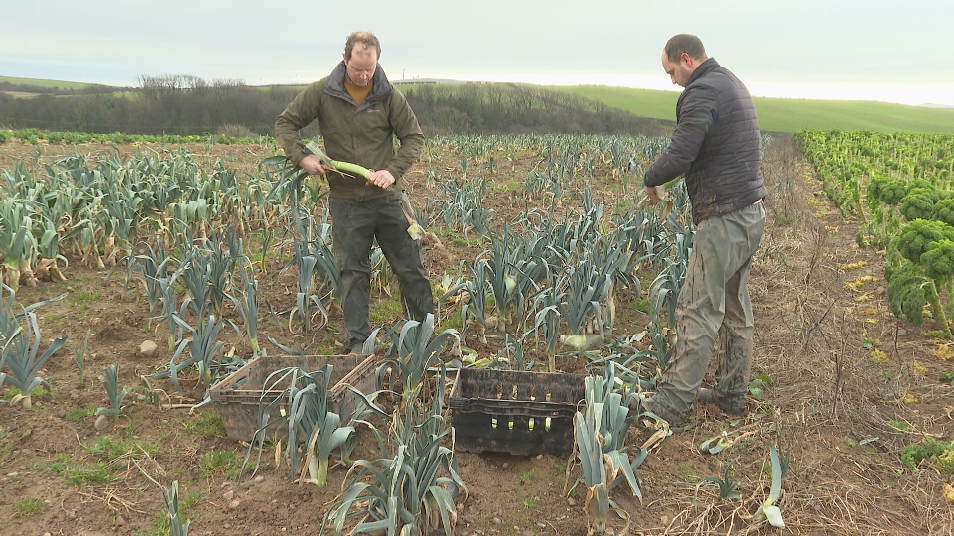 Farmer Gordon Cauldwell at work.