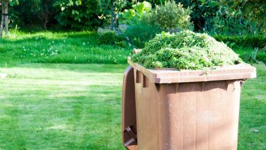 Glasgow garden waste permits for brown bins to cost £50 per year