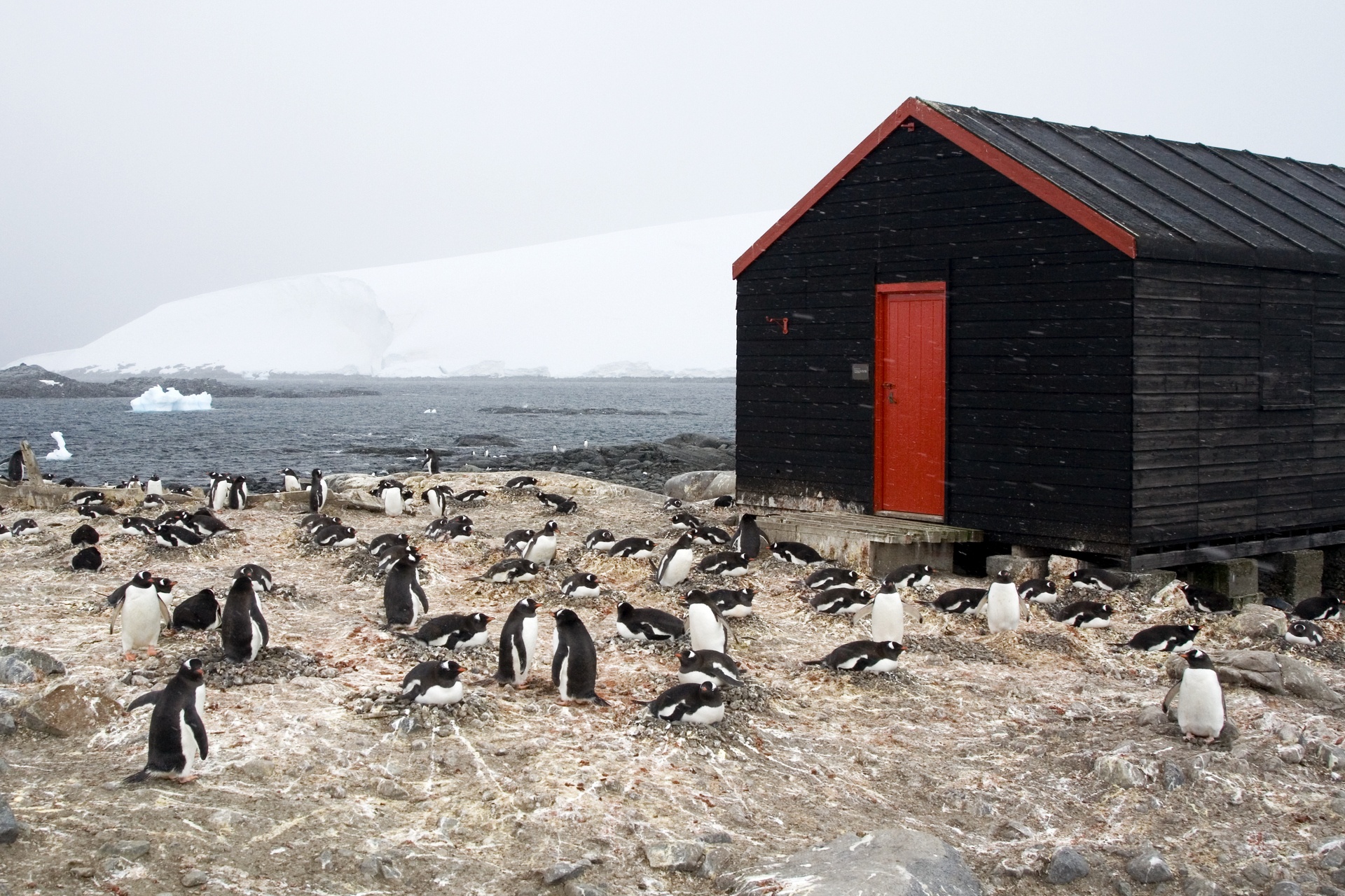 Port Lockroy was founded in 1944.