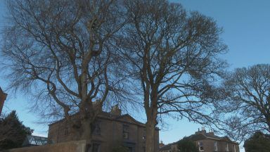 Environmental monitoring project to launch in Dundee