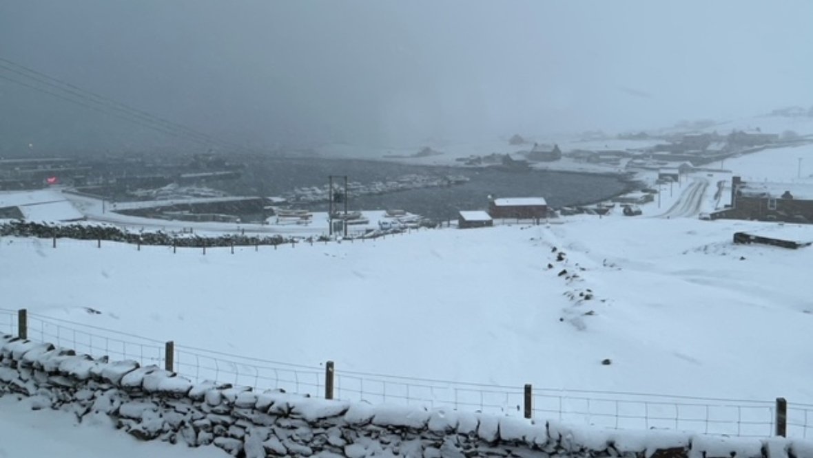 Shetlands covered in snow on Wednesday morning. 